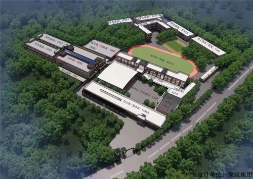 谢海发大湾区的发展机遇像三四十年前的深圳,香港青年不容错过