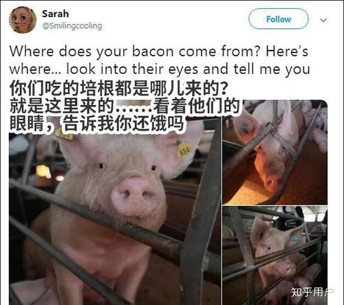 有那些一本正经的胡说八道的事情