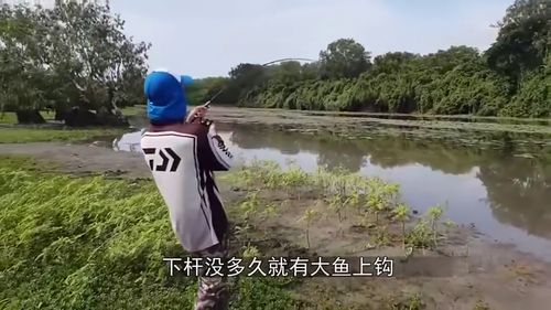 男子在河边钓鱼,不料冲上来一头猛兽,吓得丢下鱼竿就跑