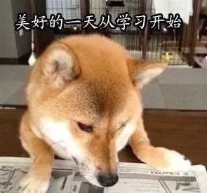 科比的娇妻韦德的娇妻保罗的娇妻,都不如他的娇妻
