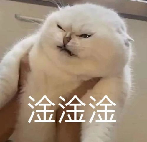 表情包对金钱的渴望