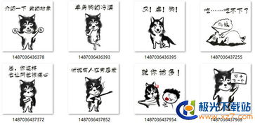 狗年情人节表情包下载狗年情人节表情包高清无水印极光下载站