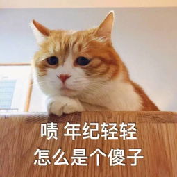 治我猫病,救我狗命那些年宠物医院收到的锦旗,全都喵语汪语过6级