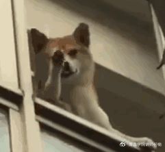 信息流账户如何快速度过学习期一起来聊一聊关计划降成本的那些事