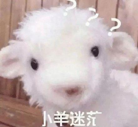 取名字能有多草率最后一个笑出猪叫