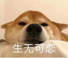加班狗急需减压家喻户晓的下午茶闪现你公司楼下