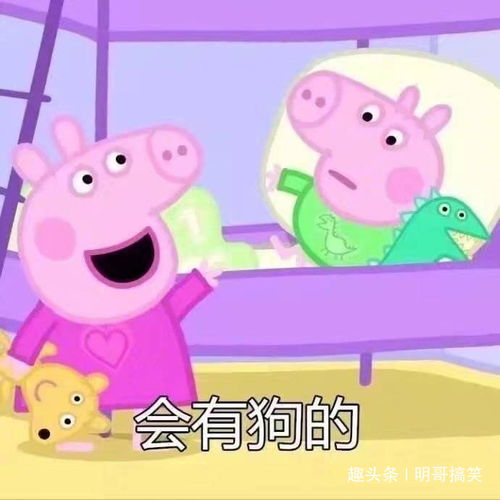 幽默笑话可不可以帮我打119报警,我好惨啊