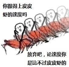 网络上突然被皮皮虾表情包刷屏莫名其妙火起来了