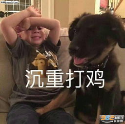 沉重打鸡表情包我要炸了表情包图片下载乐游网游戏下载