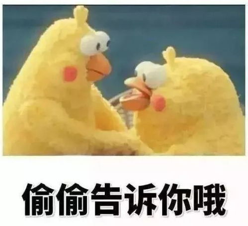 真人实测一白到底,5月便宜又好用的好物分享