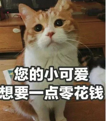 躲得过初一,却没躲过双十一...双十一后的你