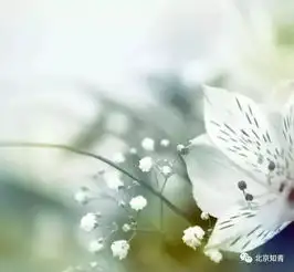 60岁以后,幸福从哪里来看完大彻大悟