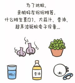 夏季防蚊大作战做到这5点,让蚊子远离家人