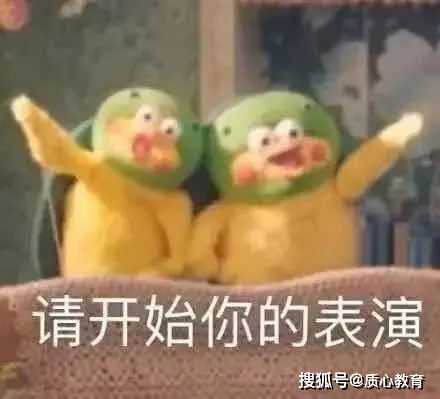孤寡,数竞党没有npy的原因找到了