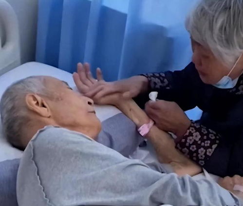 上海73岁初代丁克现状无儿无女,活一天开心一天,已想好后事