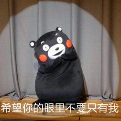 熊本熊不行你们只能爱我