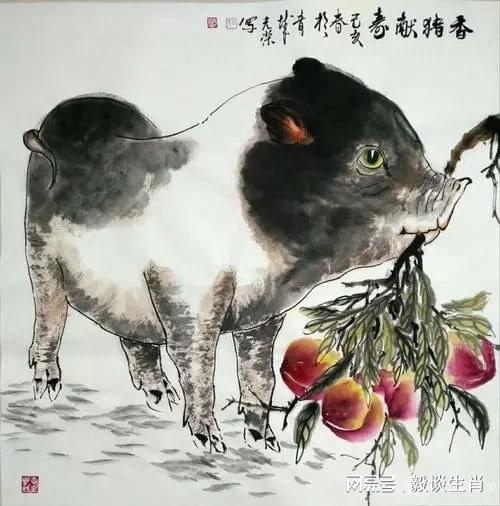 惹不起年底,属鸡虎猪运势攻略,霉运尽散,财运福气回归生肖鸡生肖猪生肖虎网易订阅