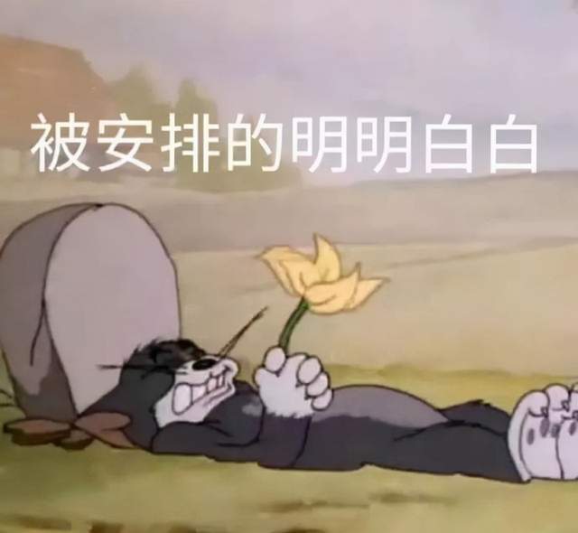 女明星减肥瘦成排骨胸,男明星塌房仍流量不倒,内娱生态大不同