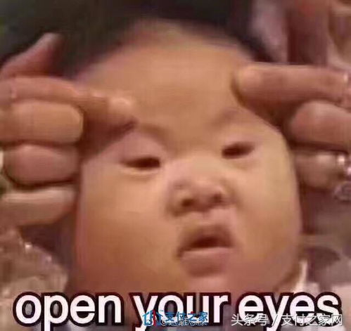 假新闻表情包简历