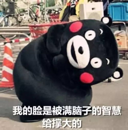 男生宿舍撕x的n种原因,格外发人深省