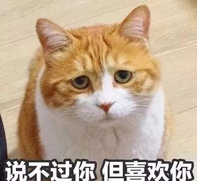 最近小莔的后台已经被新生挤爆了
