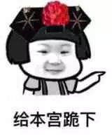 表情包给本宫跪下