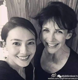 苏菲玛索永不凋零的法兰西玫瑰