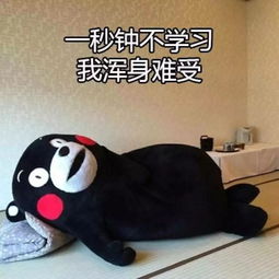成绩已出,过儿还好吗