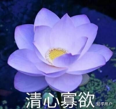 喜欢的一个男生用了很久的头像,我想知道这是情侣头像吗