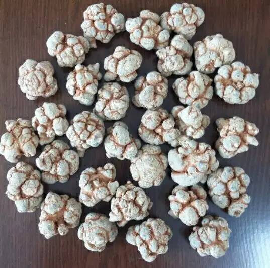 一颗神草让40岁的女人这样诱惑迷人