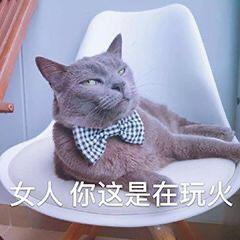 情侣互动必备表情包你的小可爱已上线,收到了我的爱心了吗