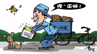 生活包裹月来了准备买买买的你,对快递了解多少