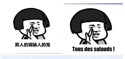 聊天尬住不如回复一个法语表情包