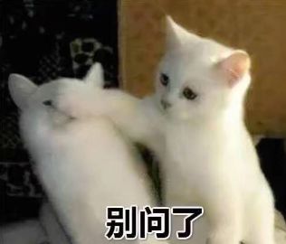 2019年十大语文差错出炉网友快找老师重新学习