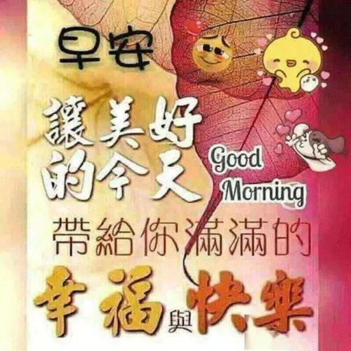 早上好表情包,冬至安康,天冷加衣,好好照顾自己祝福人生有情