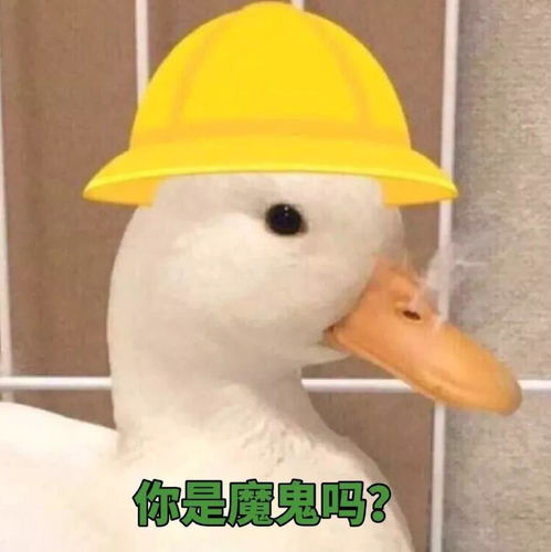 自动售货机里的鸭货到底好不好吃