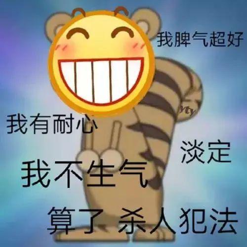 流浪猫跟到家门口,遭原住民愤怒驱赶,委屈模样卑微如尘埃