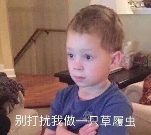 长沙高校15大专业表情包,看完都是泪