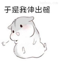 仓鼠绊倒喜欢的人表情包我知道我伸出手,你肯定不会跟我走