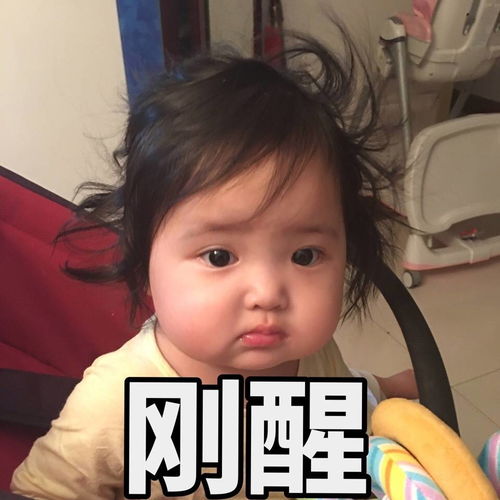 谢拉露妮丝表情包土豪