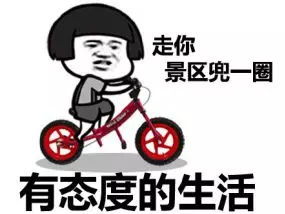 哈哈哈...我穷的只剩下精致了
