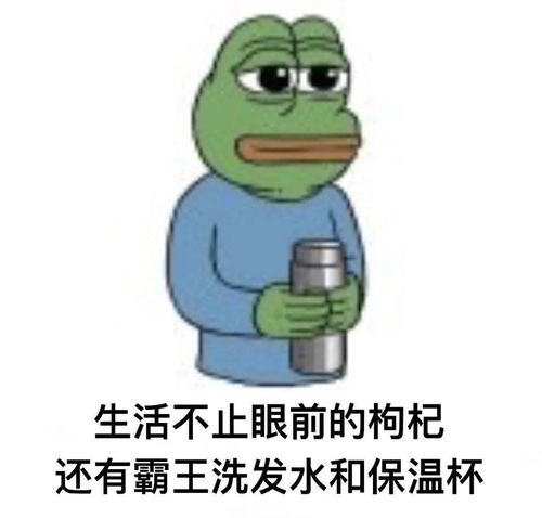 畅谈叮咚快来查收seu冬季生存指南