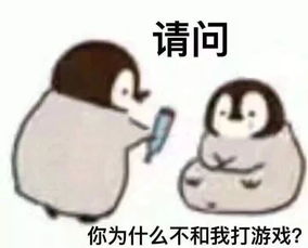 套路表情包送给女生撩小哥哥的可爱表情包,女生进