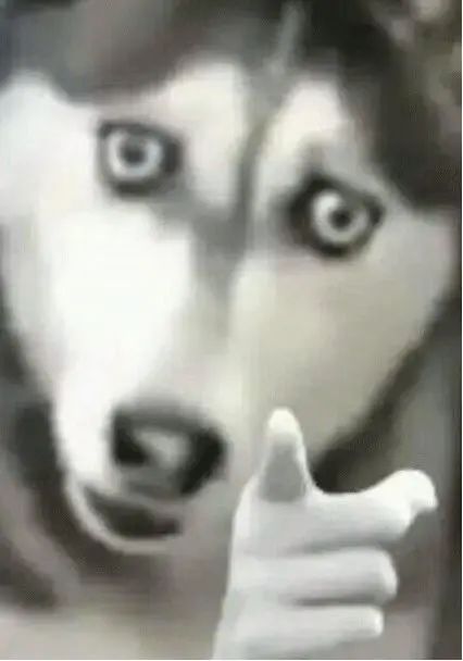 你懂什么是股票质押吗