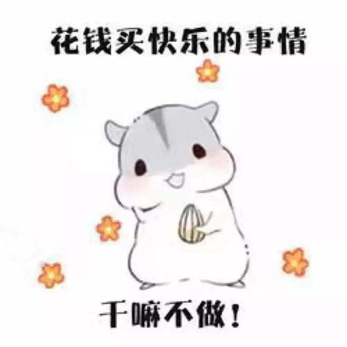 这里有一份特别重要的秘笈,快来看看吧