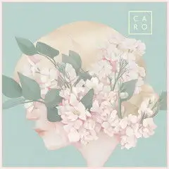 50岁淡雅头像微信花朵动漫
