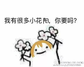 小鹿lovelive表情包