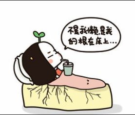 荣鼎zoomall周年庆倒计时粉红巴士整装待发,全城巡游等你来