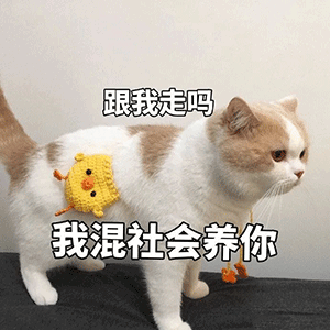 斗图动态表情包完整版减肥