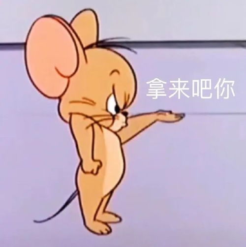 表情包拿来吧你